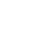 onsite repair icon